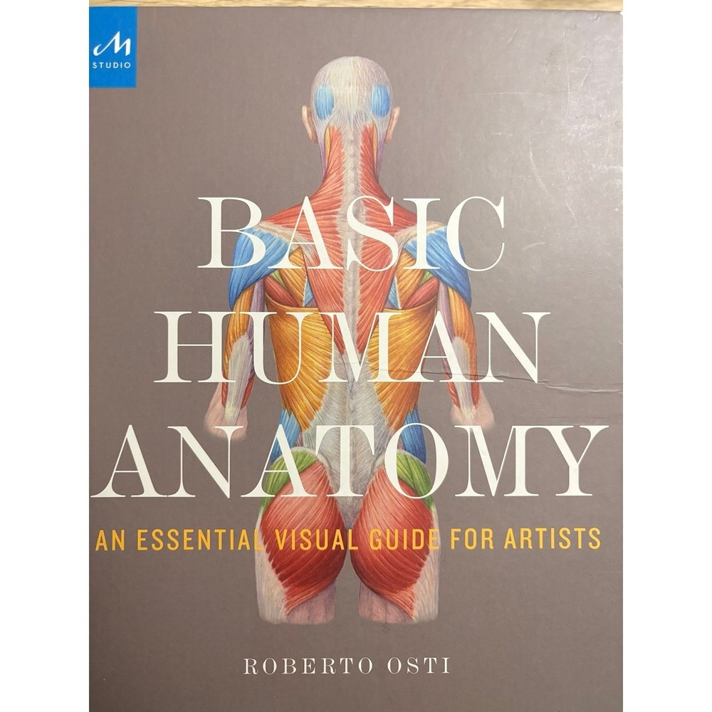 Roberto Osti Basic Human Anatomy Hardcover Artist Figure Drawing Guide